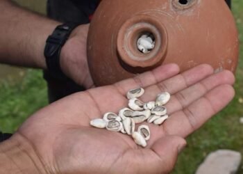 Antiquity of Kehribal, Martand is much older than we thought