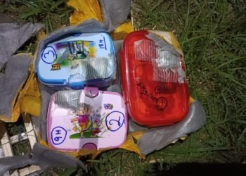 Three magnetic IEDs brought down from drone, defused in Jammu