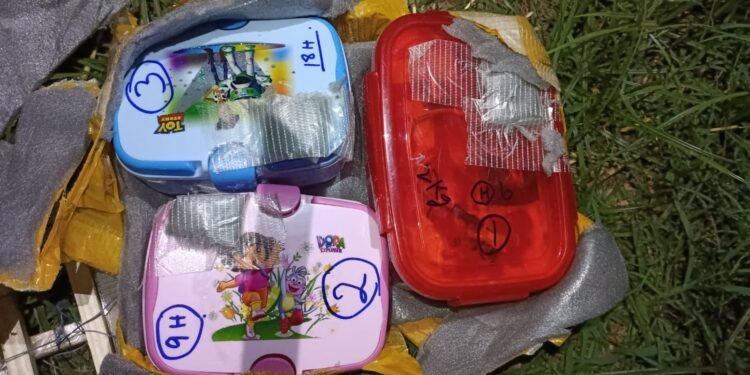 Three magnetic IEDs brought down from drone, defused in Jammu