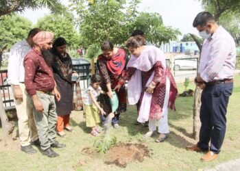 Jammuites relishes homemade frozen dessert