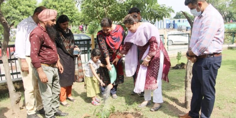 Jammuites relishes homemade frozen dessert