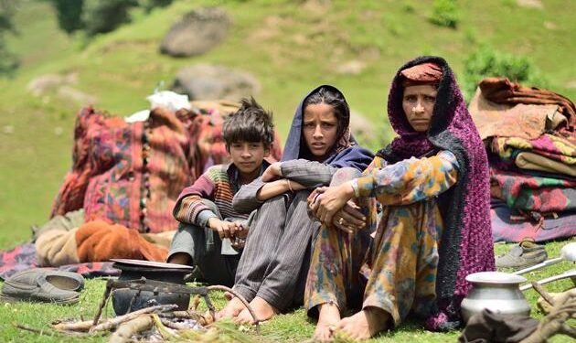 Govt trucks to transport tribal families for seasonal migration via Jammu-Srinagar highway