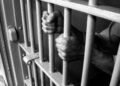 Woman Booked Under PSA for Allegedly of Land Grabbing, Frauds in Budgam: Police