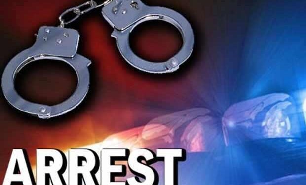 Driver involved in hit and run case in Ganderbal arrested: Police