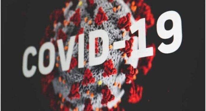 India adds 830 Covid cases, lowest single-day tally in 197 days