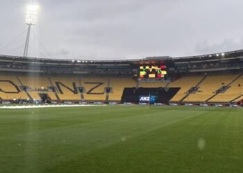 Rain delays start of 1st NZ vs India T20I