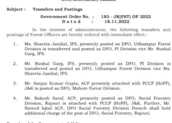 Transfer and postings