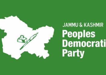 PDP concerned over prevailing power crisis