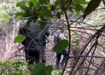 Search operation intensified to trace truck driver who escaped before encounter in Jammu