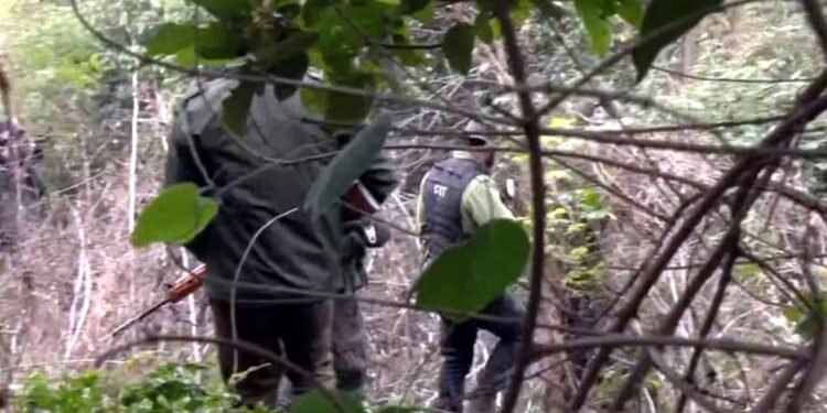 Search operation intensified to trace truck driver who escaped before encounter in Jammu