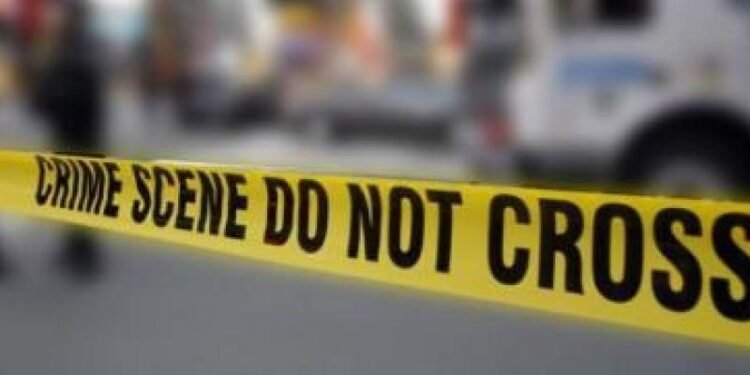 Wife dies, husband critical in Doda road accident