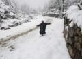 J-K: Snowfall brings cheer to tourists; relief from intense cold