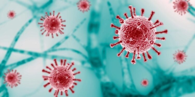 India logs 94 new COVID infections in 24 hours