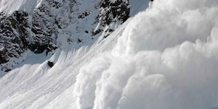 Labourer dies, another missing in Sarbal, Ganderbal snow avalanche: Officials