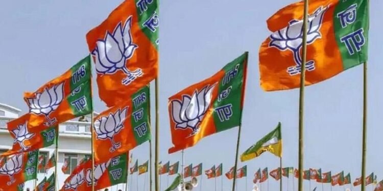 BJP faces challenges in multi-cornered race for Shri Mata Vaishno Devi seat