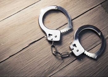 Pakistani intruder arrested along border in Jammu