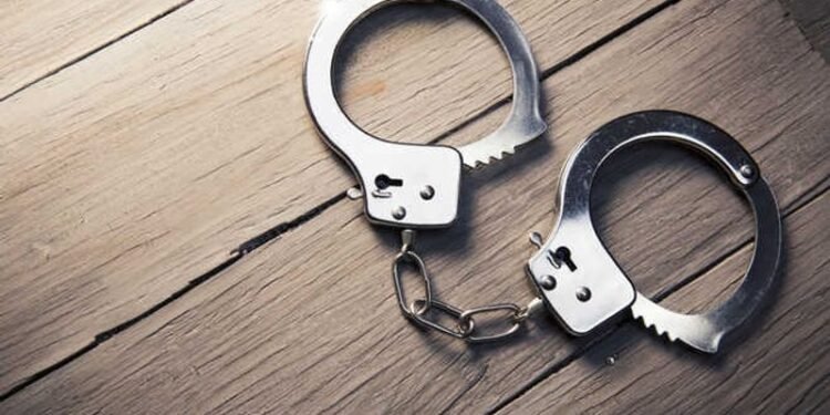 Pakistani intruder arrested along border in Jammu