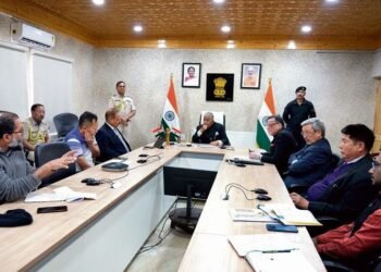 Ladakh Lt Governor asks panel to submit report on new districts