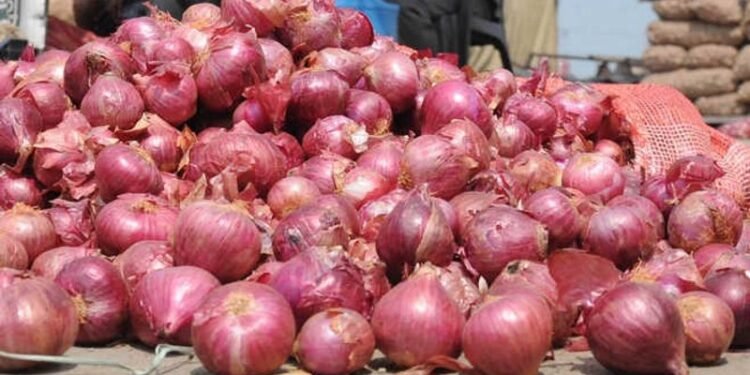 Govt boosts onion supply by rail; 840 tonnes arrive in Delhi to curb prices