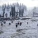 Upper parts of Kashmir see light snowfall