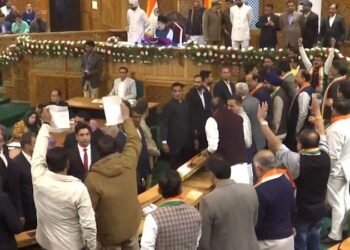 Uproar Erupts in J&K Assembly as BJP Protests Special Status