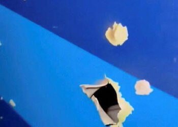 Was Azerbaijan plane downed by Russia?