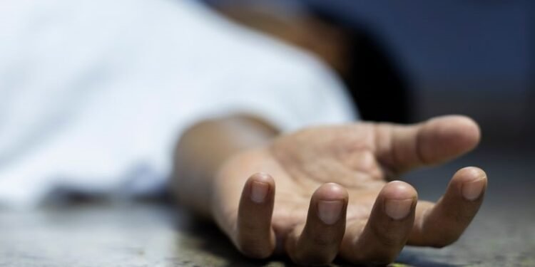 Photo for representational purpose only