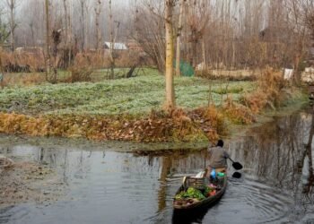 Minimum temperatures increase across Kashmir valley