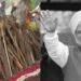 Manmohan Singh cremated with full state honours as Sikh priests, family recite verses from Gurbani
