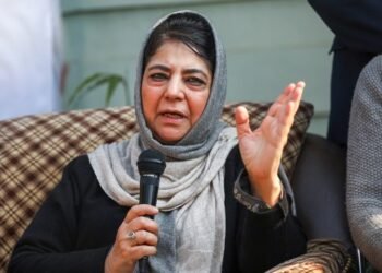 Kashmiri shawl sellers facing harassment in Himachal: PDP chief