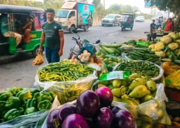 Retail inflation eases to 5.48% in November as food prices stabilise