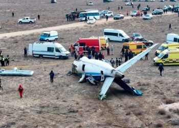 Did bird strike cause Azerbaijan plane crash in Kazakhstan
