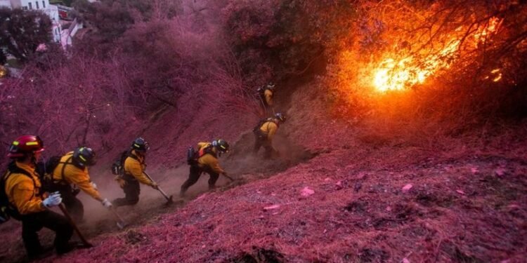 Los Angeles fires rage on, death toll rises to 24 as strong winds threaten renewed devastation