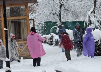 Kashmir valley receives fresh snow