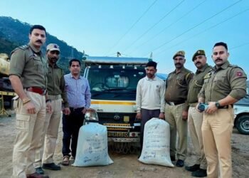 J&K Police Seize 40 Kg Poppy In Udhampur, One Arrested