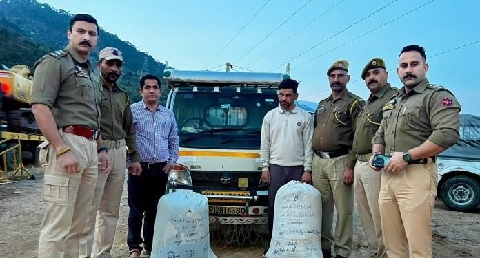 J&K Police Seize 40 Kg Poppy In Udhampur, One Arrested