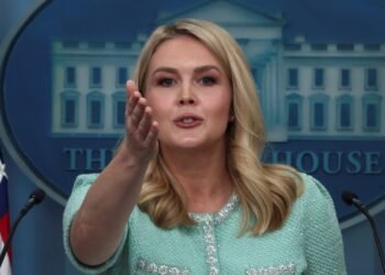 Look at India, 150% tariff on American alcohol: White House Press Secretary