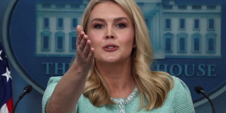 Look at India, 150% tariff on American alcohol: White House Press Secretary