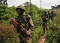 Search operation launched after report of suspicious movement in Rajouri