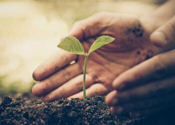 To increase green cover, Forest Dept distributes 2 lakh saplings on Eid