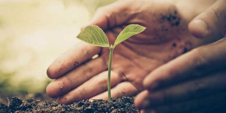 To increase green cover, Forest Dept distributes 2 lakh saplings on Eid