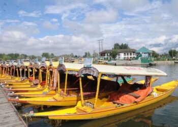 8 more Kashmir products secure GI registration