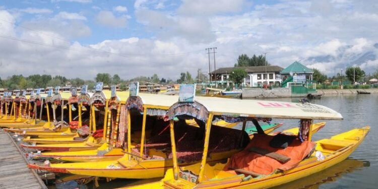 8 more Kashmir products secure GI registration