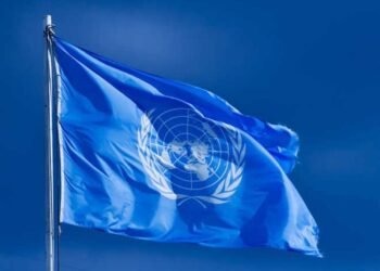 India sure contender for seat in expanded United Nations Security Council: UN panel chief