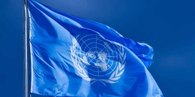 India sure contender for seat in expanded United Nations Security Council: UN panel chief