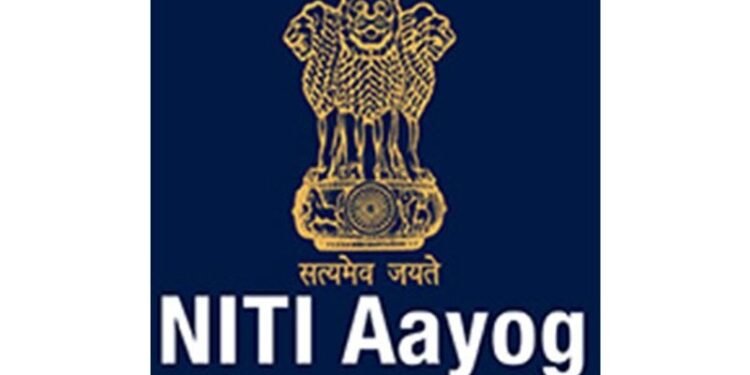 Transform mfg sector to become developed nation: NITI Aayog