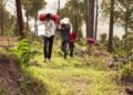 Displaced residents begin returning to Poonch border village as tensions ease