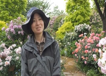 Yokohama blooms with colourful roses and lush greenery