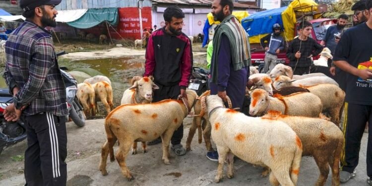 Traders struggle as terror attack casts shadow over Eid shopping