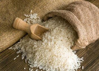 Middle East unrest to significantly impact Indian basmati rice, fertilisers, and diamond sectors: Crisil Report